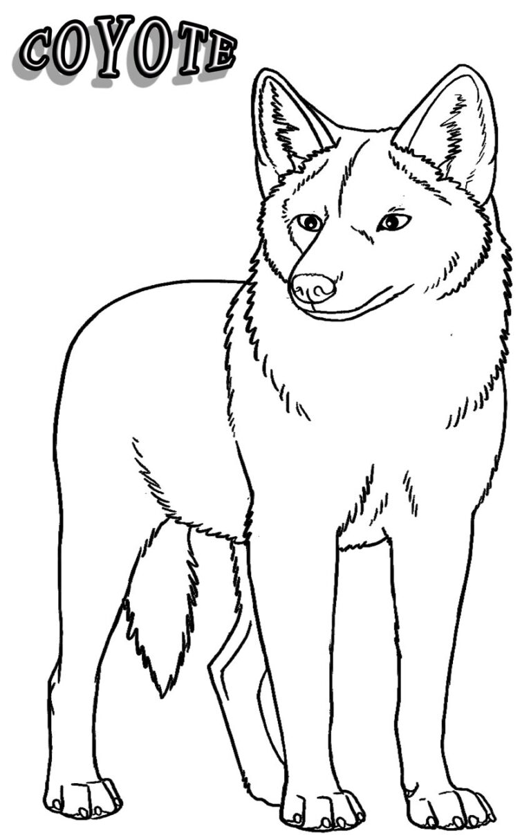 Dibujo De Okapi Para Recortar Loca Tel
