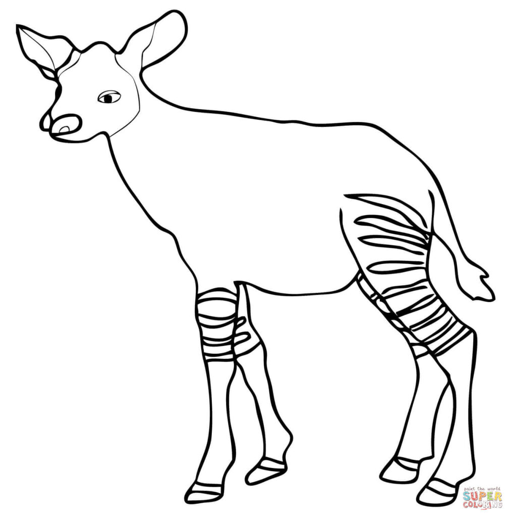 Imagen De Okapi Para Imprimir Loca Tel