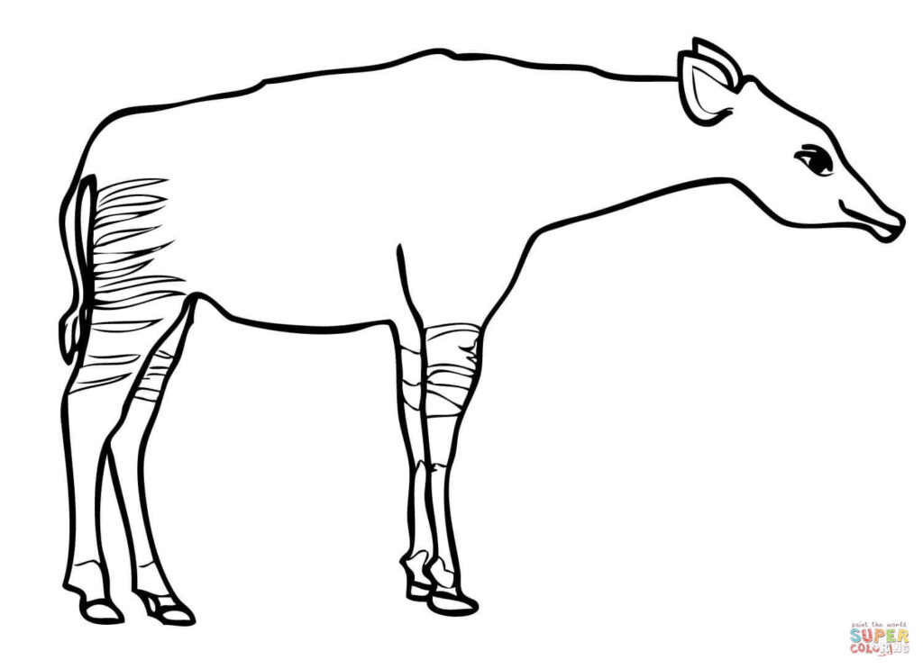 Okapi Para Dibujar Loca Tel