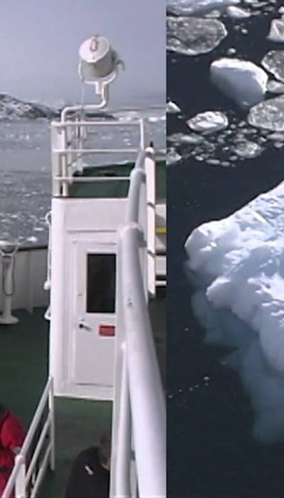 fondo-de-pantalla-de-abanto-marino-antartico-para-iphone-x