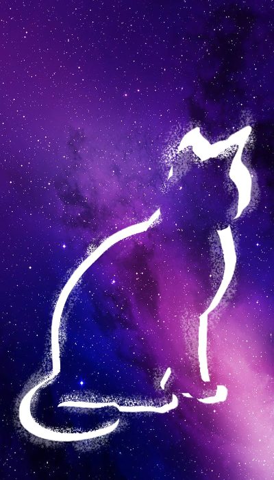 fondo-de-pantalla-de-gatos-para-galaxy-s21